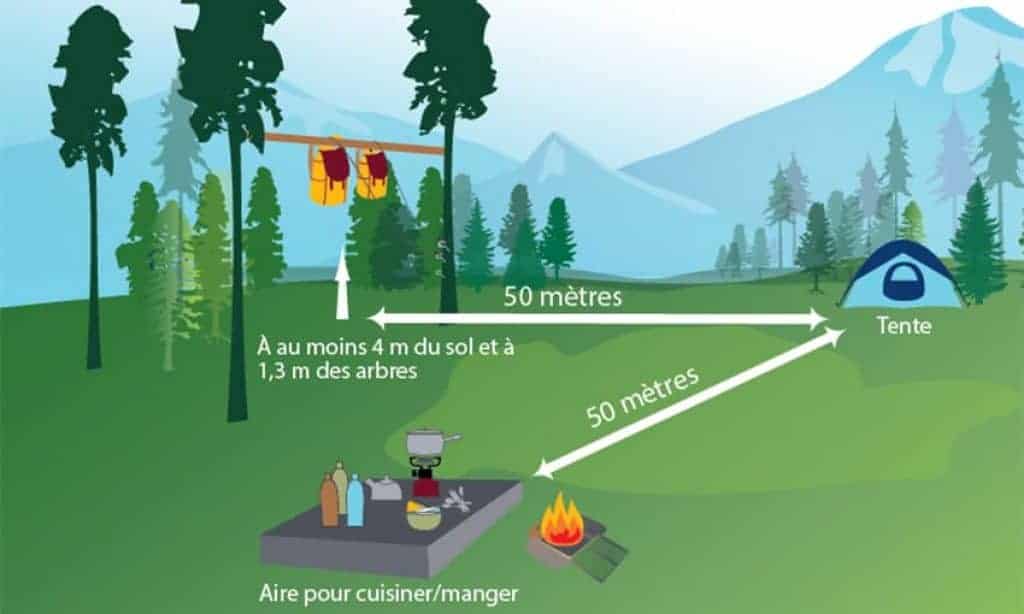 Comment Tester Les Compétences De Survie De Votre Famille 6 1024x614 | Québec Preppers Préparation des sacs à dos pour une expédition familiale en forêt