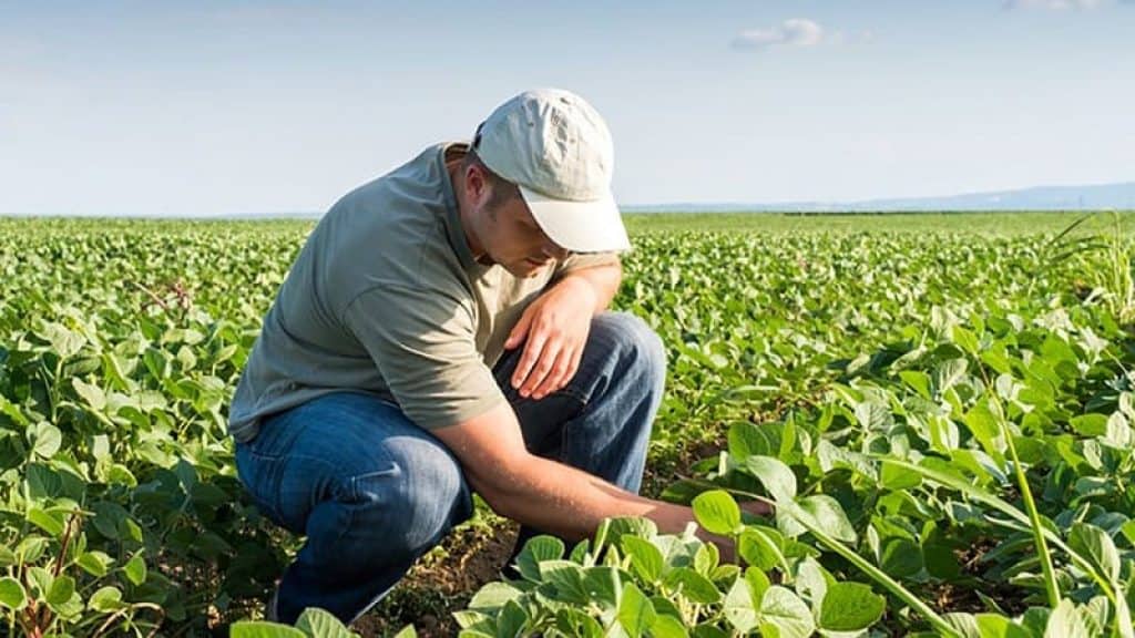 Agronomo 1024x576 | Québec Preppers Jardinage et production alimentaire autonome
