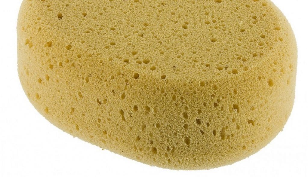 Éponge comme substitut au papier toilette méthode romaine