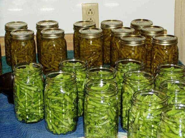 Aliments emballés dans des bocaux pour la mise en conserve