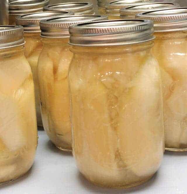 Pot Mason utilisé pour la mise en conserve sous pression